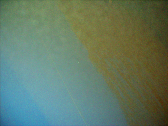 DLU Schwedt: Reinigung Trinkwasserbecken